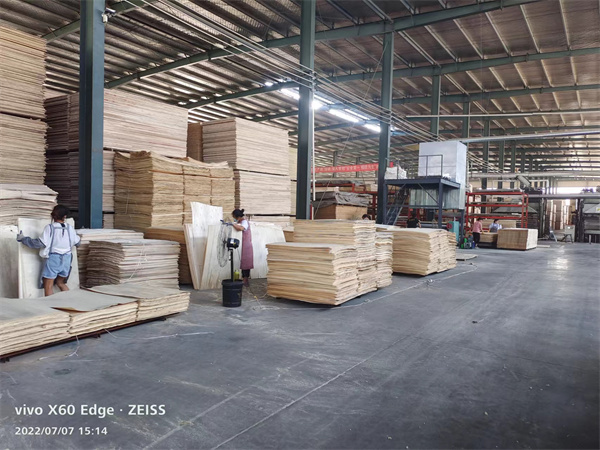 挑選優(yōu)質(zhì)楊木筋，桉木筋